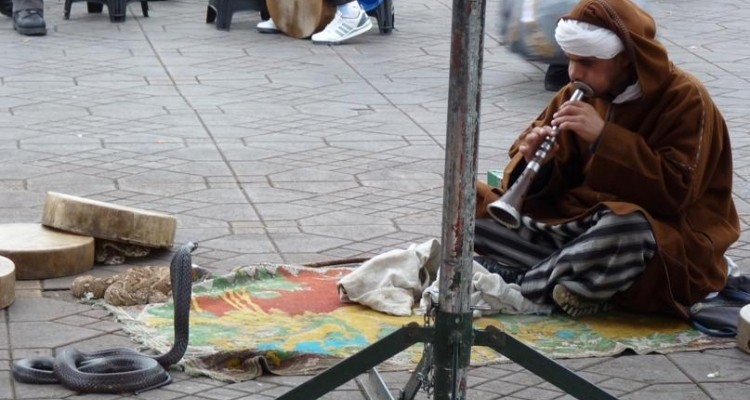 Poésie du quotidien: Marrakech