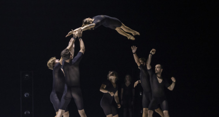 Humans 2.0 de Circa | Le corps acrobate dans toute sa splendeur